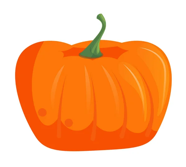 Single pumpkin head isolated on white background — Stock Vector