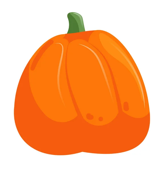 Cute autumn pumpkin isolated on white background — Stock Vector