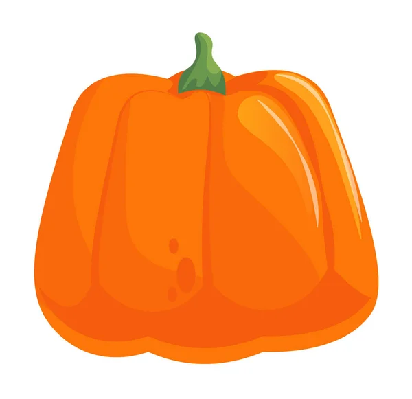 Calabaza vegetal de temporada aislado en blanco — Archivo Imágenes Vectoriales