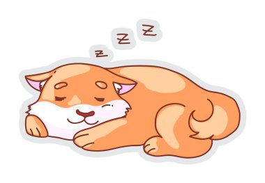 Beyaz arka planda izole edilmiş sevimli uyuyan köpek.