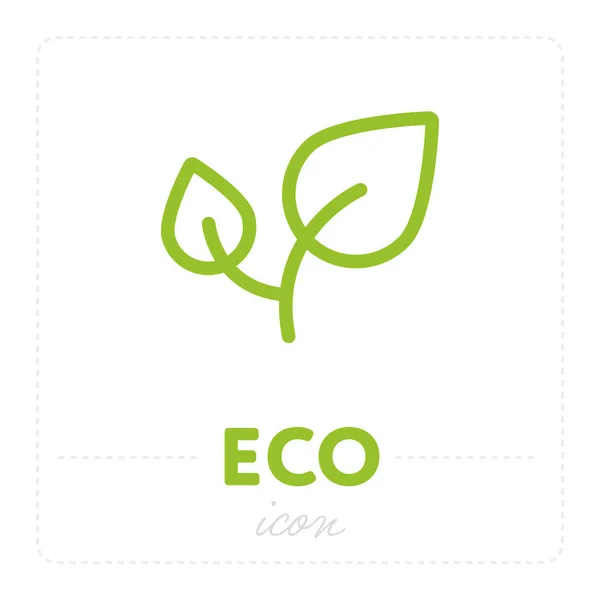 Diseño Del Icono Ecología Verde Con Hojas Frescas Planta Aisladas — Vector de stock