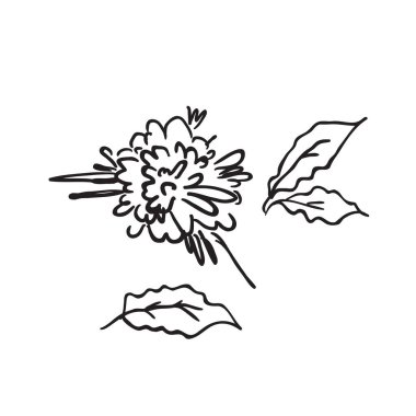 Siyah çizgili el beyaz arkaplana soyut bitkiler çizdi.