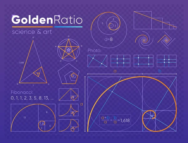 Vector Set Various Figures Shapes Law Golden Ratio Composed Purple — Stock Vector