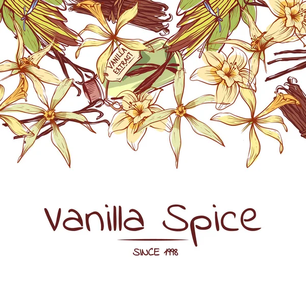 Vanilla Spice Poster Advertising Company Trendy Food Spice Parfum Industry — Stock Vector