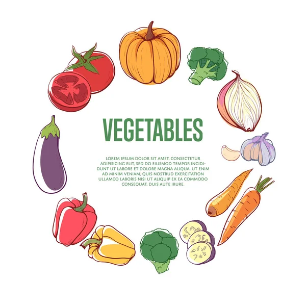 Légumes Frais Concept Rond Sur Fond Blanc Carotte Citrouille Concombre — Image vectorielle