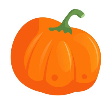 kabak sebzesi beyaz arkaplanda izole