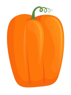 Beyaz balkabağı karikatürü.