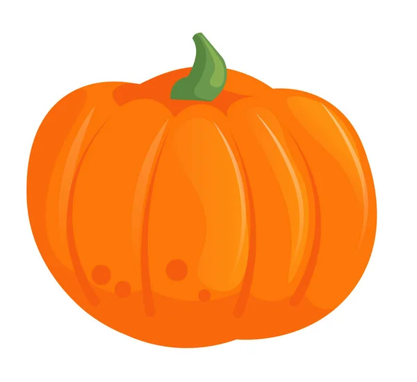 Cartoon fall pumpkin isolated on white background — Stock Vector