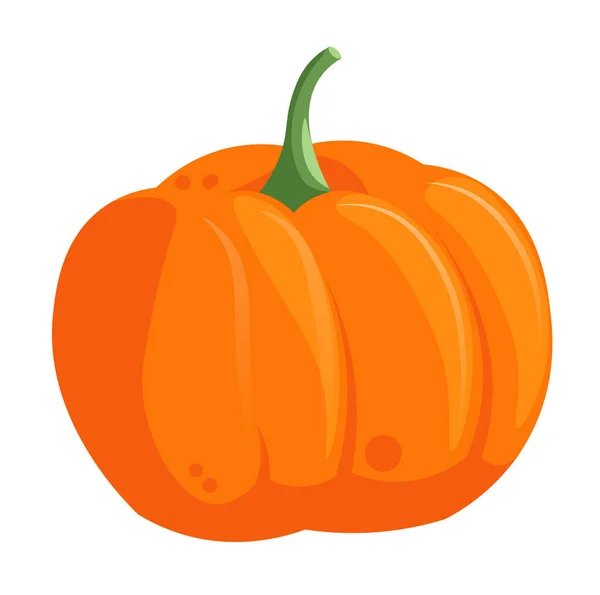 Orange and yellow autumn pumpkin isolated on white — Stock Vector