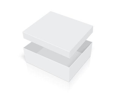 beyaz karton kutu açık renkler sahte vektör şablonu değiştirmek kolay