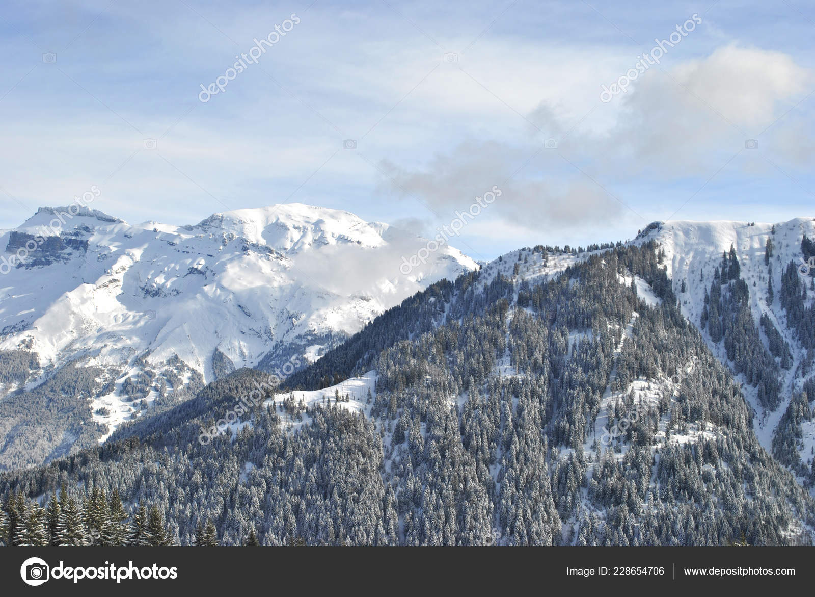Winter Forest Alps France Stock Photo Image By C Ellengold