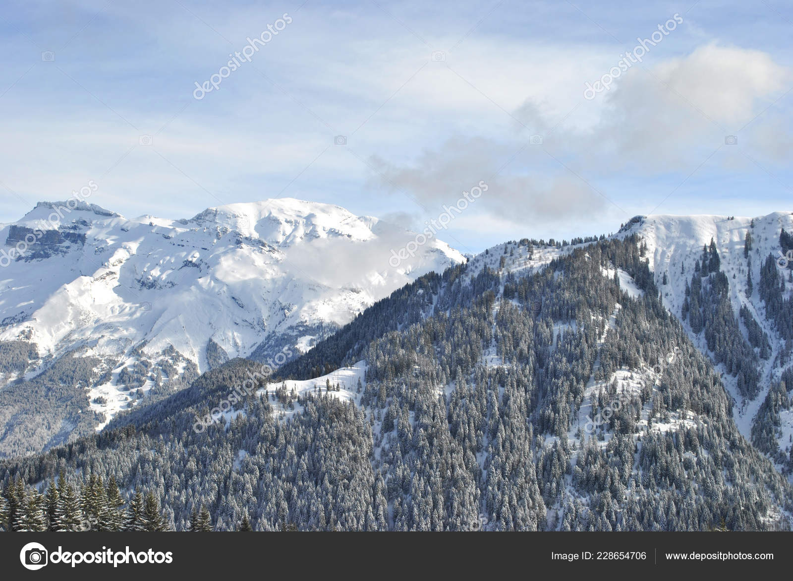Winter Forest Alps France Stock Photo Image By C Ellengold Winter Forest Alps France Stock Photo Image By C Ellengold