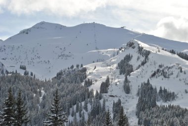 Fransa Alpleri'nde kış orman