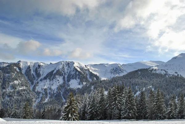 Winterwald Den Alpen Frankreich — Stockfoto