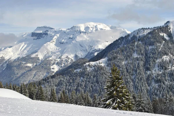 Bosque Invierno Los Alpes Francia — Foto de Stock