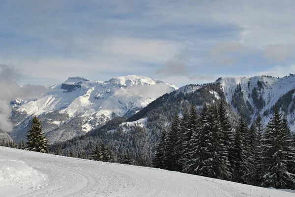 Bosque Invierno Los Alpes Francia — Foto de Stock