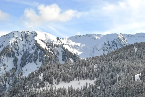 Bosque Invierno Los Alpes Francia — Foto de Stock