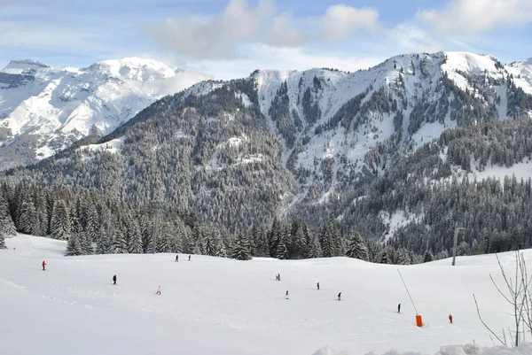 Fransa Alpleri Nde Kış Orman — Stok fotoğraf