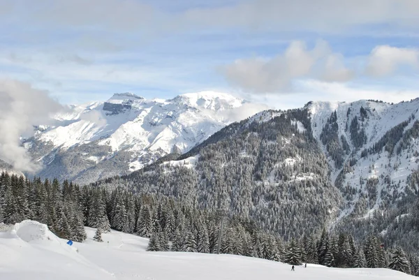 法国阿尔卑斯山的冬季森林 — 图库照片