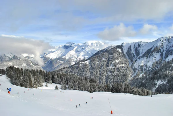 Fransa Alpleri Nde Kış Orman — Stok fotoğraf
