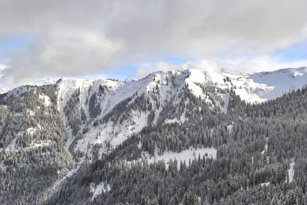 Zima Las Alpach Francji — Zdjęcie stockowe