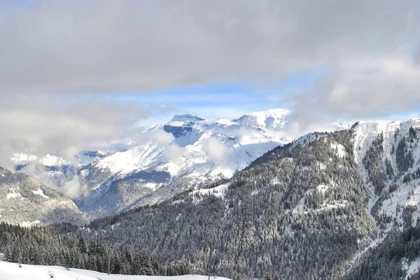 Bosque Invierno Los Alpes Francia — Foto de Stock