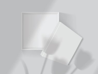 Beyaz bir kutunun üzerindeki lalelerin ve pencerelerin gölgeleri vektör oluşturur.