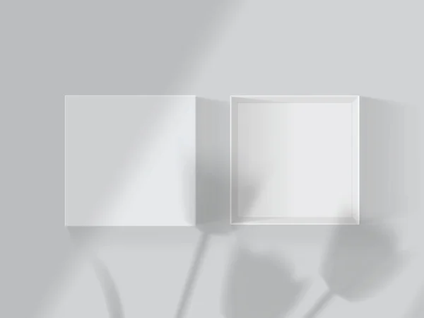 Sombras Tulipanes Ventanas Una Caja Abierta Blanca Simulan Vector — Vector de stock