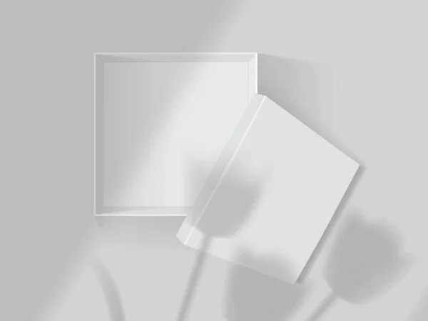 Σκιές Από Τουλίπες Και Παράθυρα Ένα Λευκό Ανοιχτό Κουτί Mock — Διανυσματικό Αρχείο