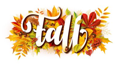 Düşen yapraklar, meşe palamudu ve meşe palamudu ile sonbahar kompozisyonu