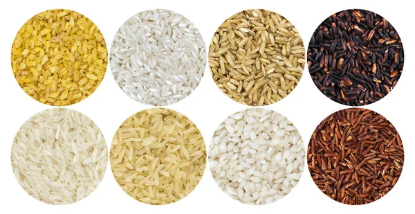 Patrón de arroz. Diferentes tipos de arroz sobre fondo blanco — Foto de Stock