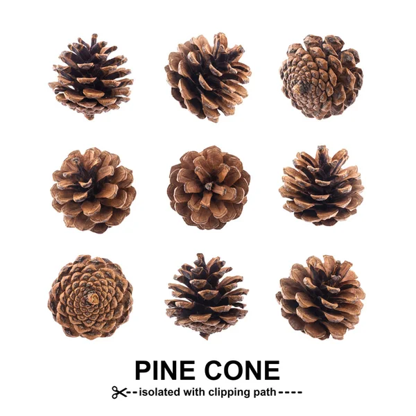 Pinhas. cones de abeto isolado no fundo branco com caminho de recorte — Fotografia de Stock