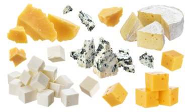 Peynir farklı parçaları. Kaşar peyniri, parmesan, emmental, blu peynir, camembert, izole beyaz arka plan üzerinde beyaz peynir