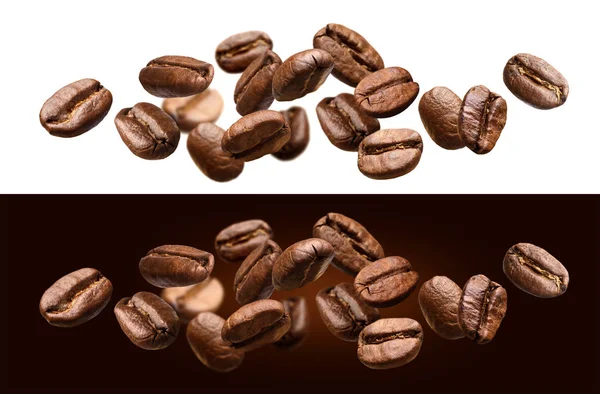 Падение кофейных зерен изолированы на белом и черном фоне — стоковое фото