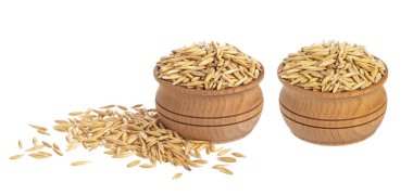 Beyaz arka plan üzerinde Yulaf tanesi izole Yulaf tohumu