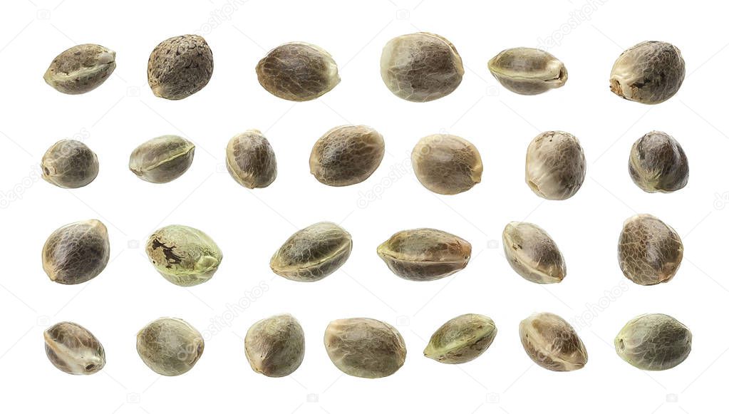 Hemp seeds collection isolated on white background, close up, macro
