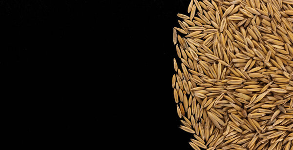 Pile of oat seeds on black background, copy space, top view