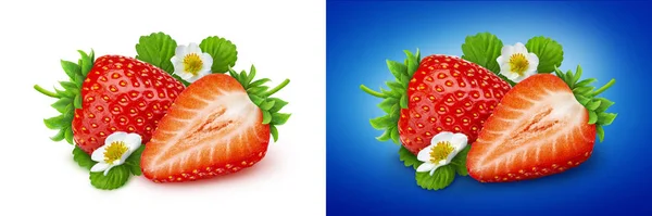 Strawberry isolated. Two strawberries with flowers and leaves isolated on white background — Stock Photo, Image