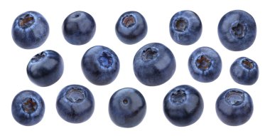 Blueberry isolated on white background with clipping path clipart