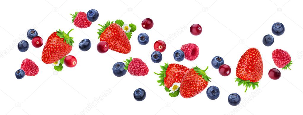 Flying berries isolated on white background with clipping path, different falling wild berry fruits, collection