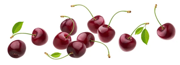 Cerise isolée sur fond blanc avec chemin de coupe, cerises fraîches avec tiges et feuilles — Photo