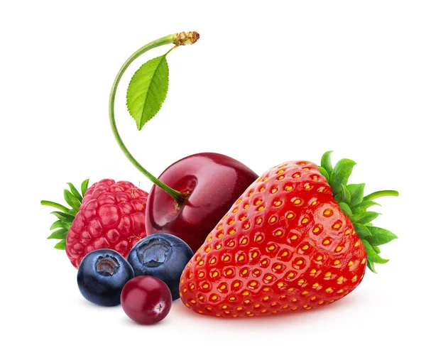 Berry mix elszigetelt fehér háttér, halom friss vadon termő bogyók — Stock Fotó