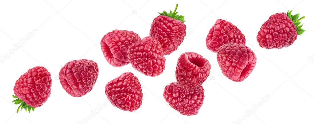 Raspberry isolated on white background, falling raspberries, collection