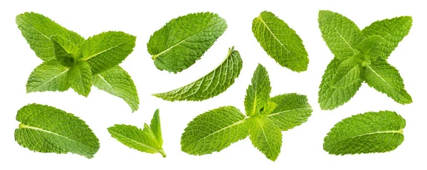 Fresh mint leaves isolated on white background — Stock Photo, Image