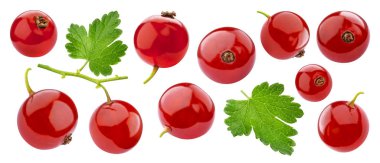 Ripe red currant isolated on white background closeup clipart