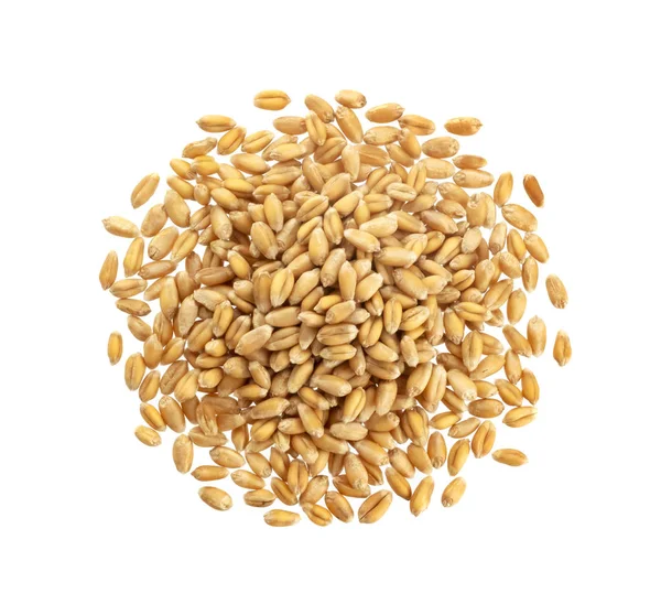 Wheat grains isolated on white background, top view — Stock Photo, Image