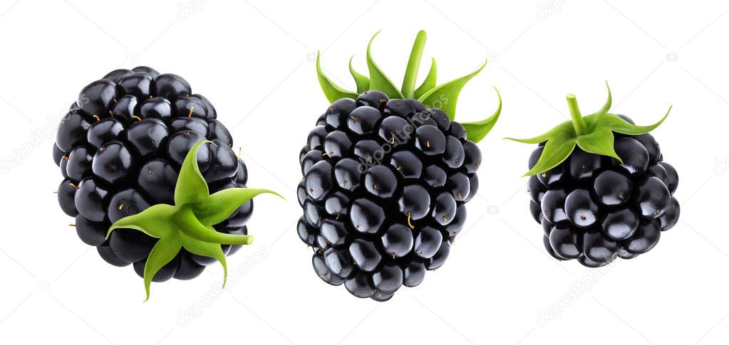 Blackberry isolated on white background with clipping path