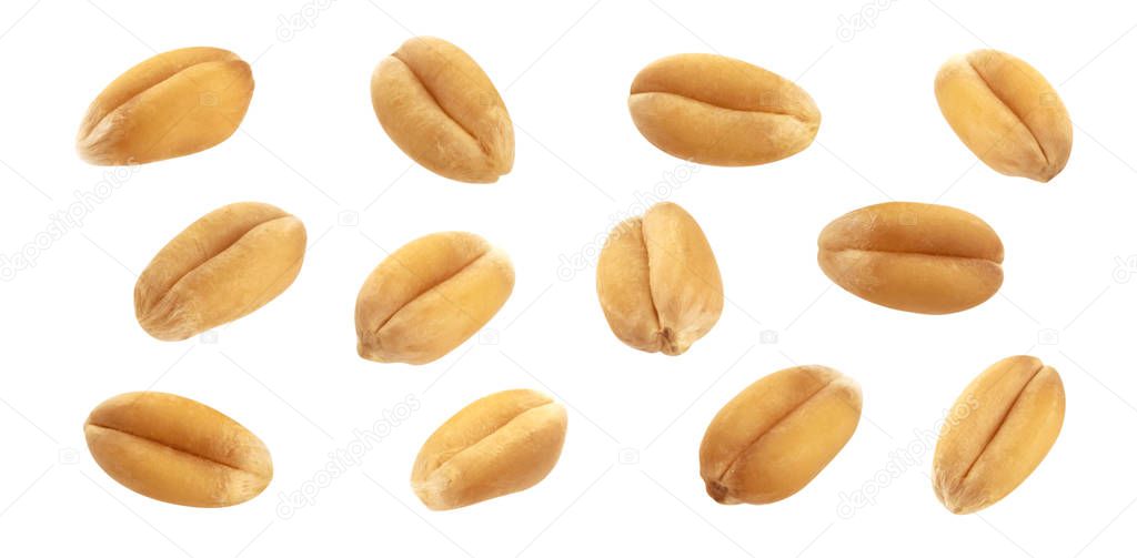 Wheat grains isolated on white background, close-up
