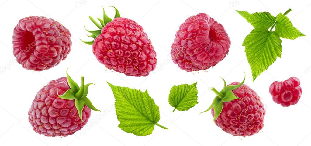Raspberry collection isolated on white background