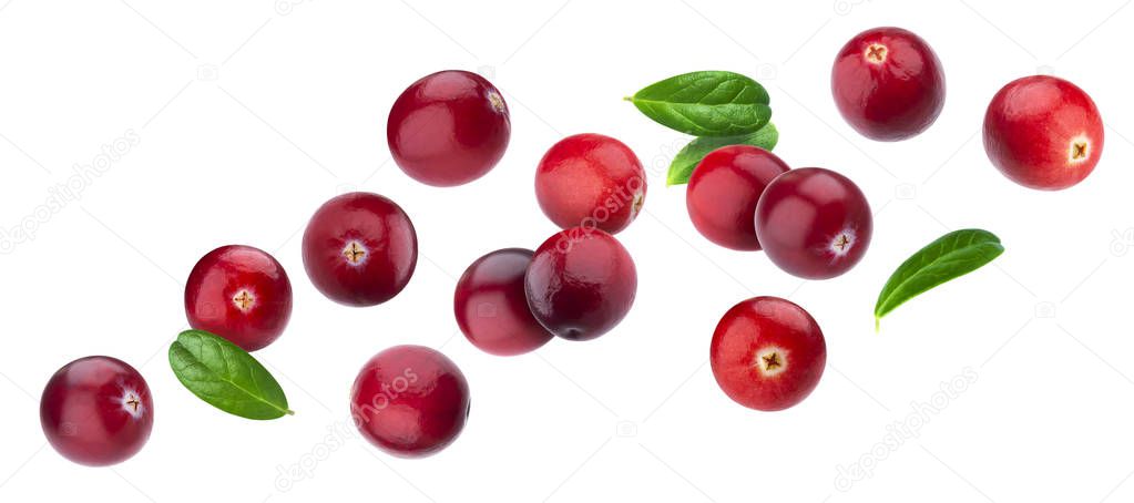 Cranberry isolated on white background with clipping path